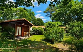 Les Chalets du Gélat, nature et calme